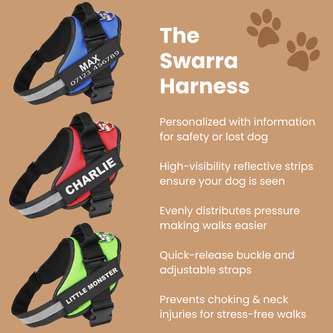 The Swarra Dog Harness